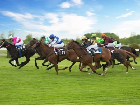 Lingfield Park Racecourse Facts.Left,Right Hand,History,Lingfield Park Races Facts.