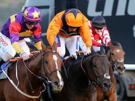 Newcastle Racecourse Facts.Left,Right Hand,History,Newcastle Races Facts.